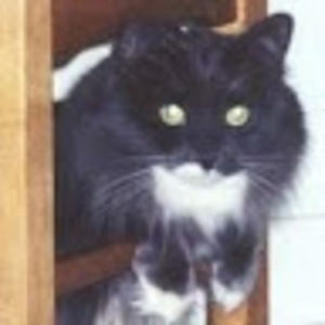 Meet your Posher, Cathy